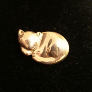 Do Not Disturb Kitty Pin